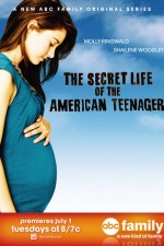 Watch The Secret Life of the American Teenager Movie2k